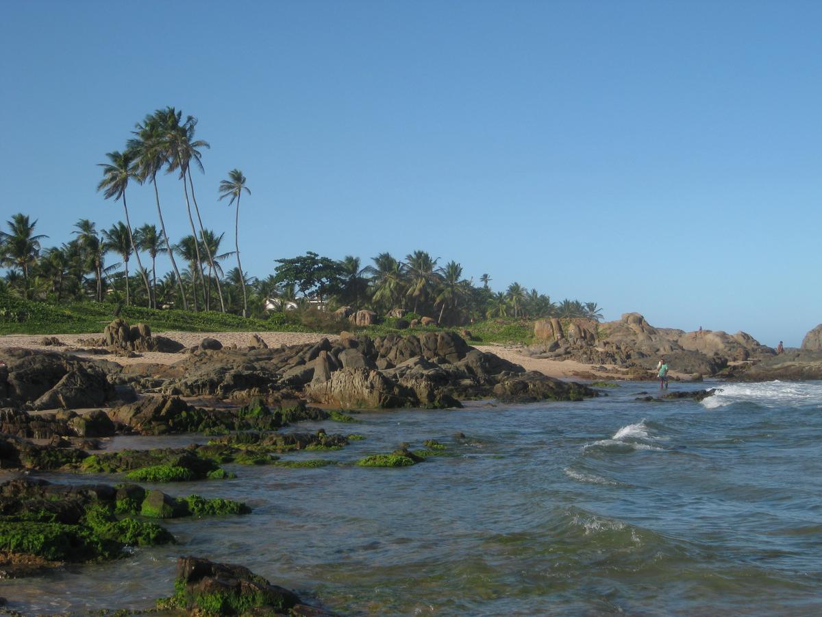 Villa Tropicale Salvador da Bahia Exterior foto